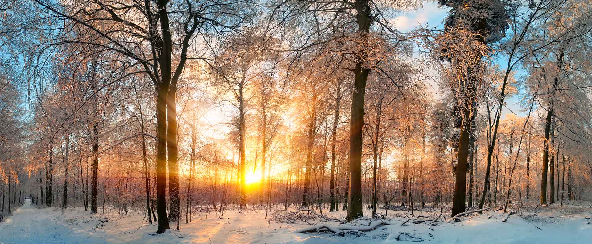 fermeture AISE photo à la golden hour dans une zone boisée en hiver